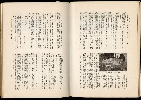 《始政四十周年紀念臺灣博覽會誌》藏品圖，第519張