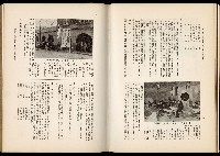 《始政四十周年紀念臺灣博覽會誌》藏品圖，第534張