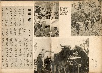 《南方の據點・臺灣寫真報道》藏品圖，第18張