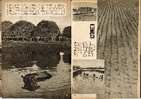 《南方の據點・臺灣寫真報道》藏品圖，第43張