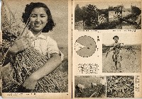 《南方の據點・臺灣寫真報道》藏品圖，第44張