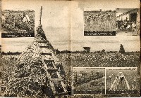 《南方の據點・臺灣寫真報道》藏品圖，第46張