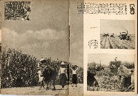 《南方の據點・臺灣寫真報道》藏品圖，第49張