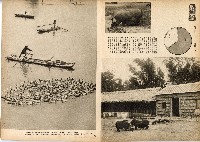 《南方の據點・臺灣寫真報道》藏品圖，第51張