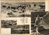 《南方の據點・臺灣寫真報道》藏品圖，第52張