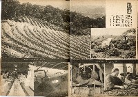 《南方の據點・臺灣寫真報道》藏品圖，第58張