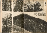 《南方の據點・臺灣寫真報道》藏品圖，第59張