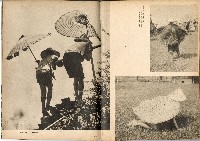 《南方の據點・臺灣寫真報道》藏品圖，第71張