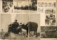 《南方の據點・臺灣寫真報道》藏品圖，第77張