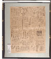 《臺灣新生報》（第21、31號）、《人民導報》（第234號）藏品圖，第1張