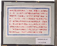 空投大陸傳單-1藏品圖，第2張