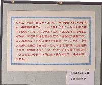 空投大陸傳單-3藏品圖，第2張