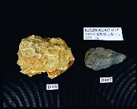 A047：花葉紋豆青瓷杯、A051：白瓷碗底足、A059：白瓷碗底足、A115：鶴紋印花青花碗圈足、A158：「高雄市役所」款瓷杯、A159：「高雄市役所」款瓷杯、A160：「高雄市役所」款瓷杯、A161：高雄市徽蝠紋青花瓷杯蓋、A162：高雄市徽蝠紋青花瓷杯蓋、A164：福壽款青花印花碗、A166：纏枝喜字紋青花碗藏品圖，第7張