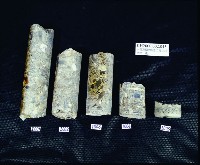 A047：花葉紋豆青瓷杯、A051：白瓷碗底足、A059：白瓷碗底足、A115：鶴紋印花青花碗圈足、A158：「高雄市役所」款瓷杯、A159：「高雄市役所」款瓷杯、A160：「高雄市役所」款瓷杯、A161：高雄市徽蝠紋青花瓷杯蓋、A162：高雄市徽蝠紋青花瓷杯蓋、A164：福壽款青花印花碗、A166：纏枝喜字紋青花碗藏品圖，第13張