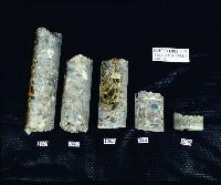 A047：花葉紋豆青瓷杯、A051：白瓷碗底足、A059：白瓷碗底足、A115：鶴紋印花青花碗圈足、A158：「高雄市役所」款瓷杯、A159：「高雄市役所」款瓷杯、A160：「高雄市役所」款瓷杯、A161：高雄市徽蝠紋青花瓷杯蓋、A162：高雄市徽蝠紋青花瓷杯蓋、A164：福壽款青花印花碗、A166：纏枝喜字紋青花碗藏品圖，第14張