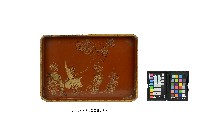 朱漆描金花鳥紋長方盤藏品圖，第1張