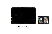 朱漆描金花鳥紋長方盤藏品圖，第2張