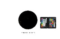 彩繪風景紋圓盤藏品圖，第2張