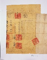 張傑老立尽根杜賣契藏品圖，第3張