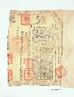 黃克昌兄弟立杜賣盡根契字藏品圖，第3張