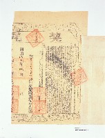 赤山保弍甲庒陳荖立賣杜絕尽根契藏品圖，第3張