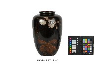 黑漆彩繪蝴蝶蘭紋瓶藏品圖，第1張