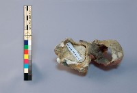 「甘露寺招親」交趾陶人物像（-1：吳國太、-2：喬國老、-3：劉備、-4：孫尚香）藏品圖，第7張