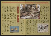 《時報新聞周刊NO.15》藏品圖，第10張