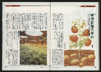 《時報新聞周刊NO.15》藏品圖，第50張