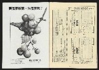 《雷聲週刊第65期》藏品圖，第34張