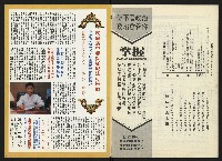 《民進周刊NO.113》藏品圖，第34張