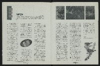 《台南民進報導創刊號》藏品圖，第18張