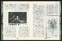 《台南民進報導第4期》藏品圖，第10張