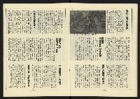 《新路線週刊NO.10》藏品圖，第17張