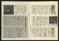 《新路線週刊NO.13》藏品圖，第33張