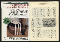 《新潮時代週刊NO.240》藏品圖，第42張