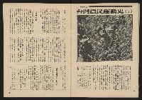 《生根週刊NO.11》藏品圖，第32張