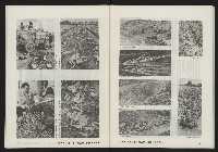 《亞洲人復刊號NO.3》藏品圖，第42張