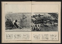 《新文化第15期》藏品圖，第49張