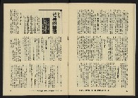 《八十年代月刊NO.13》藏品圖，第29張