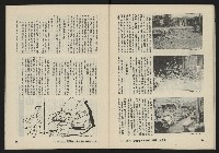 《八十年代月刊NO.19》藏品圖，第34張