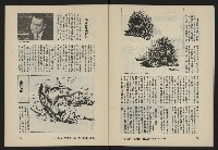 《八十年代月刊NO.21》藏品圖，第34張