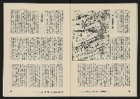 《八十年代月刊NO.31》藏品圖，第41張