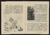 《縱橫月刊NO.5》藏品圖，第49張