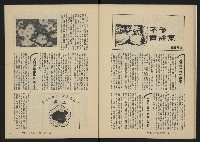 《縱橫月刊NO.32》藏品圖，第25張