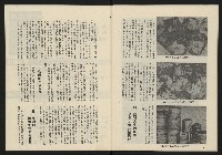 《民主政治週刊NO.8》藏品圖，第33張