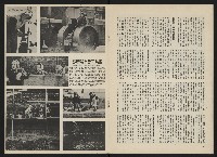 《政治家半月刊NO.3》藏品圖，第14張