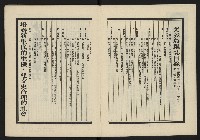 《美麗島NO.2》藏品圖，第3張