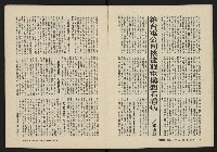 《美麗島NO.2》藏品圖，第7張