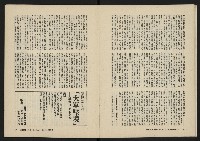 《美麗島NO.2》藏品圖，第13張
